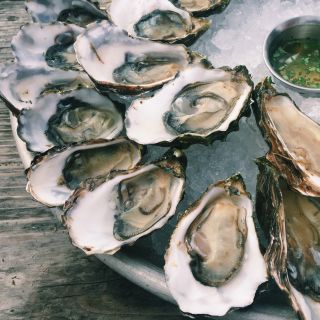 A tray of Oysters